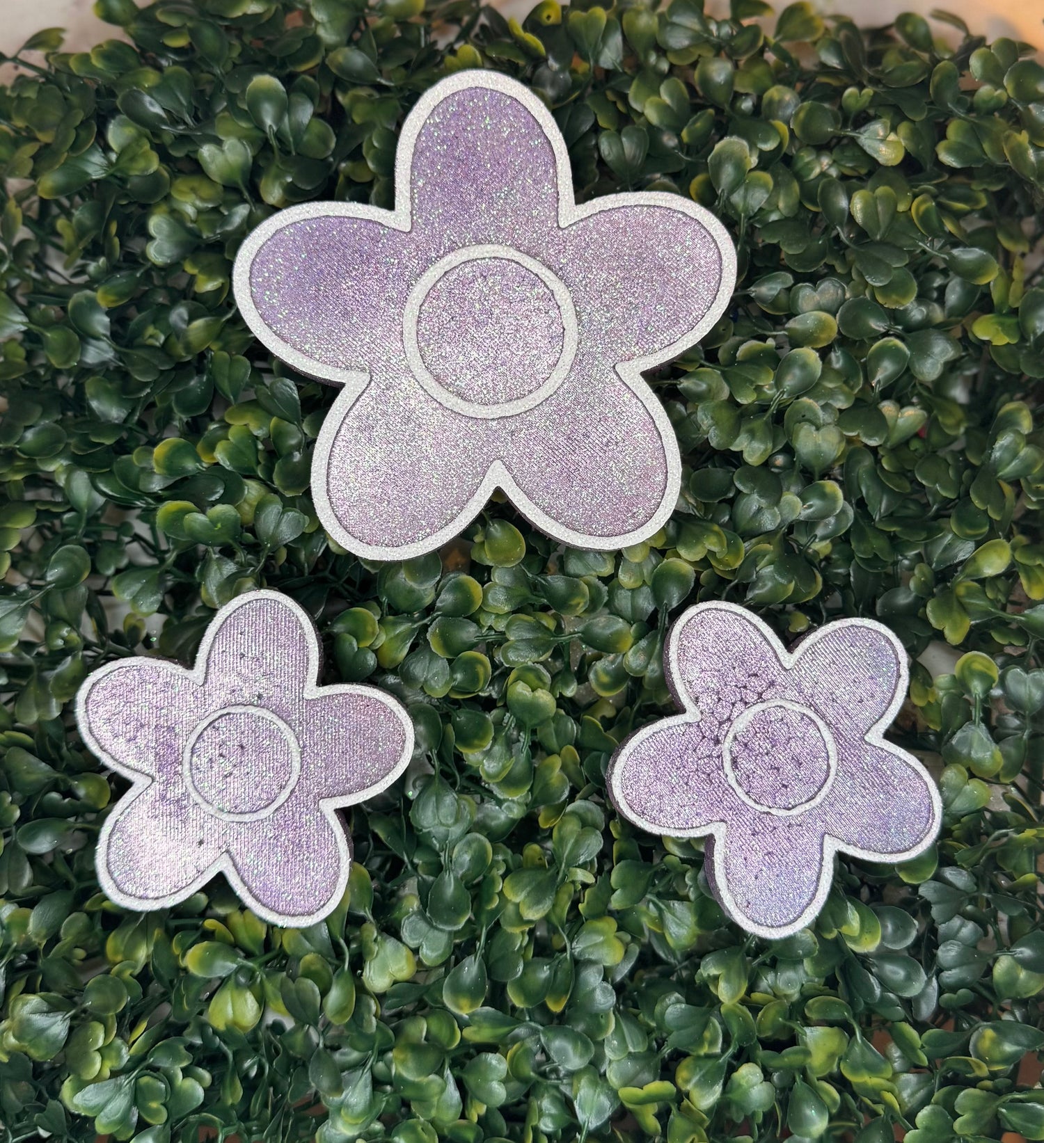 Flowers/Plants